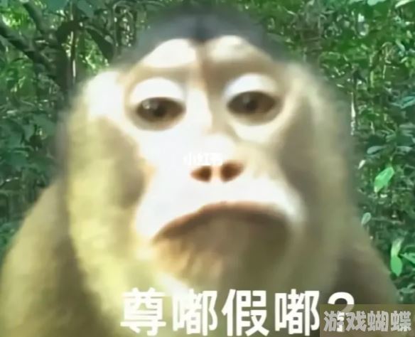 尊嘟假嘟表情包 尊嘟假嘟表情包图片分享