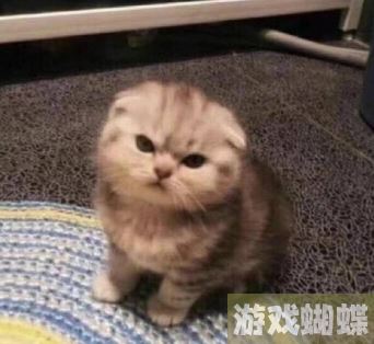 尊嘟假嘟表情包 尊嘟假嘟表情包图片分享