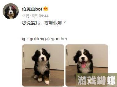尊嘟假嘟表情包 尊嘟假嘟表情包图片分享