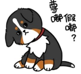 尊嘟假嘟表情包 尊嘟假嘟表情包图片分享