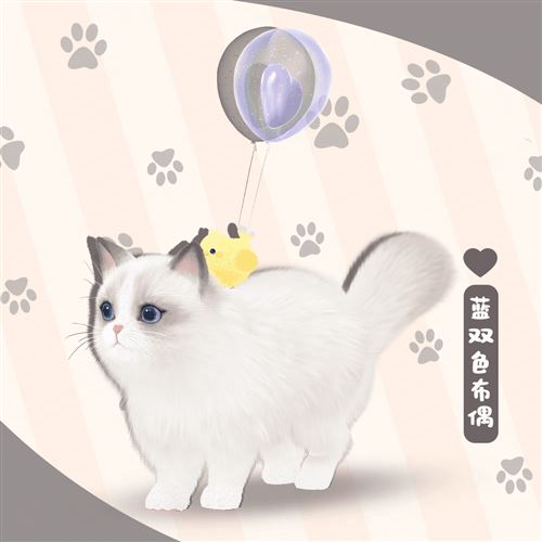 《绝对演绎》沉浸式养猫互动玩法上线​​​​​​​