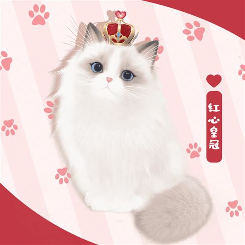 《绝对演绎》沉浸式养猫互动玩法上线​​​​​​​