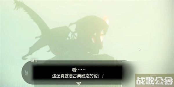 塞尔达传说王国之泪古栗欧克的布料获取方法 古栗欧克的布料获取方法,王国之泪资讯