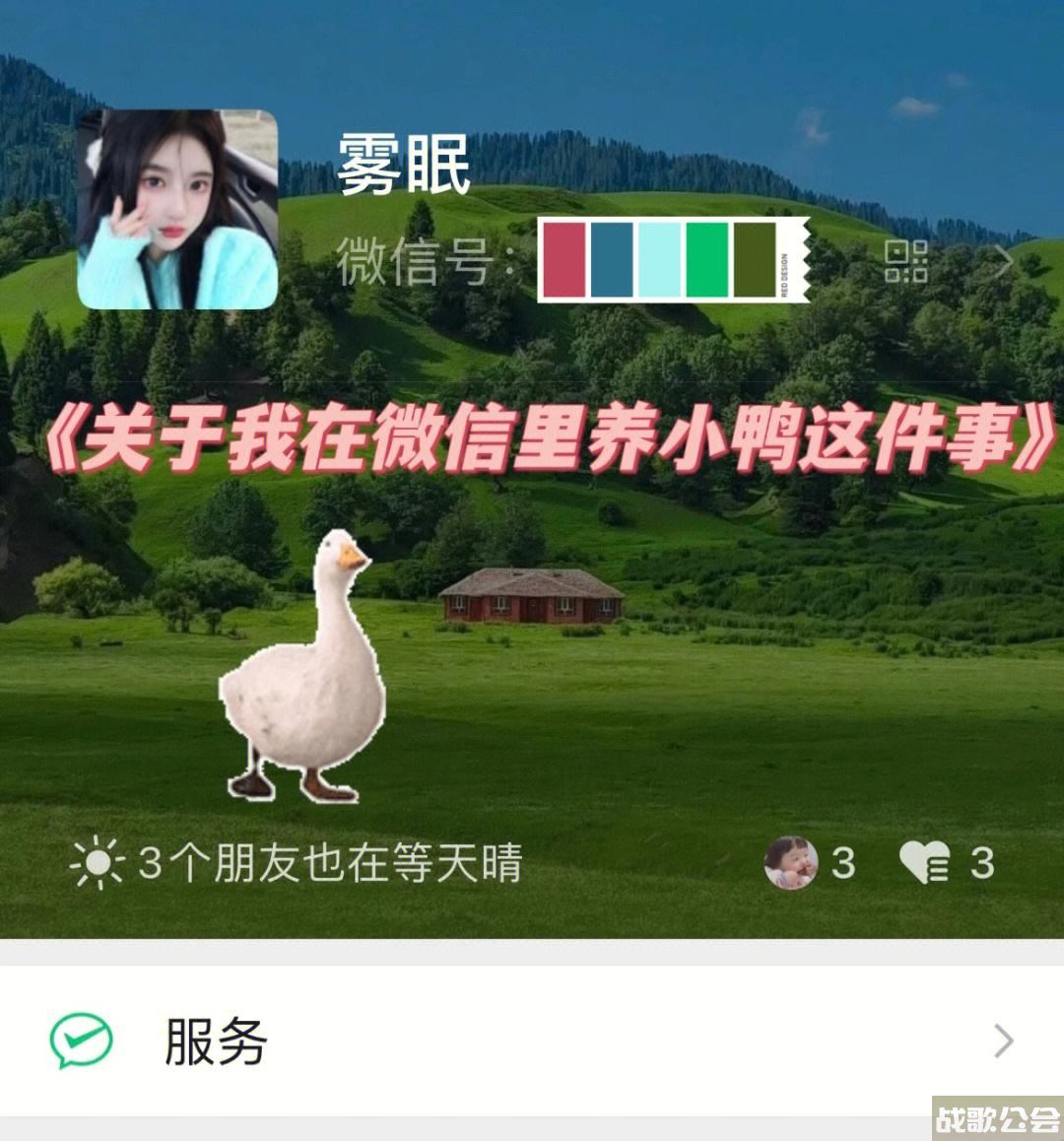 微信状态怎么养宠物(微信状态养宠物怎么弄)