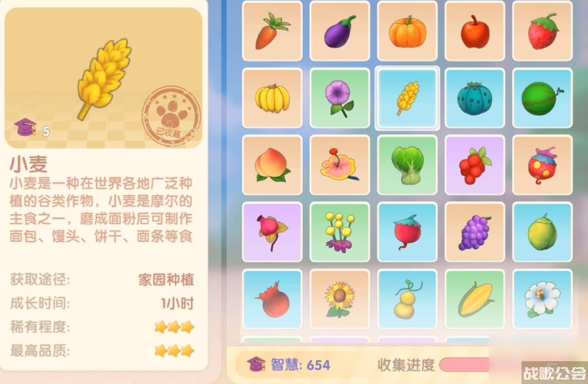 《摩尔庄园》小麦获取方法