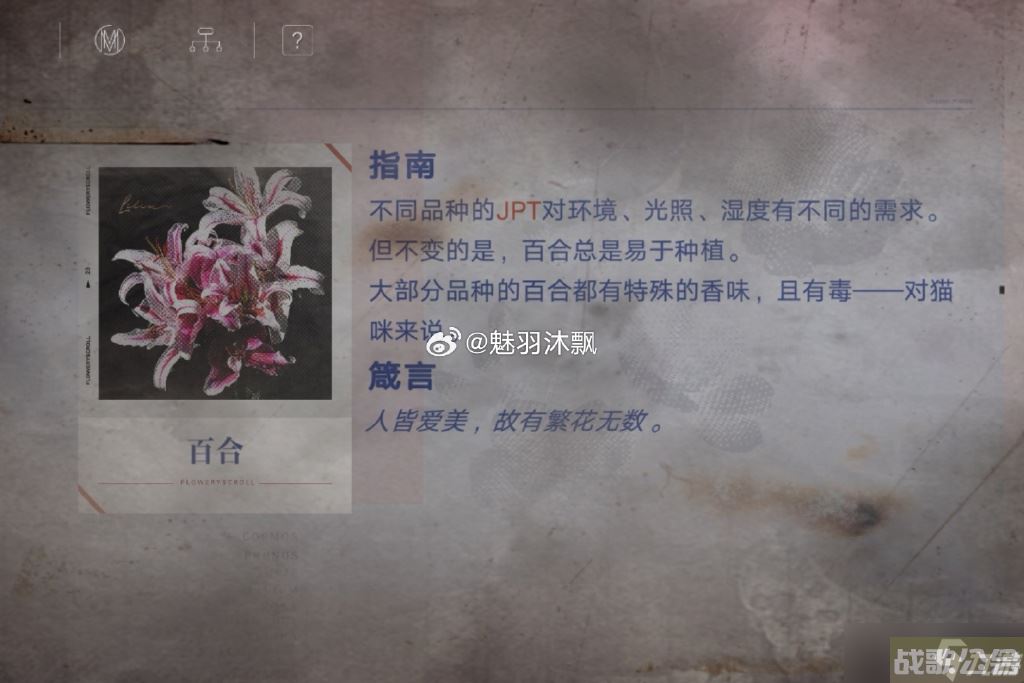 无期迷途花笺解密,无期迷途资讯