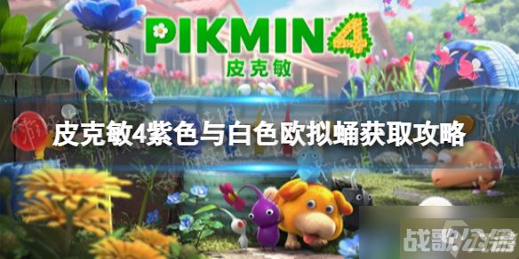 《皮克敏4》紫色与白色欧拟蛹获取攻略 紫色与白色欧拟蛹怎么获取,皮克敏4资讯