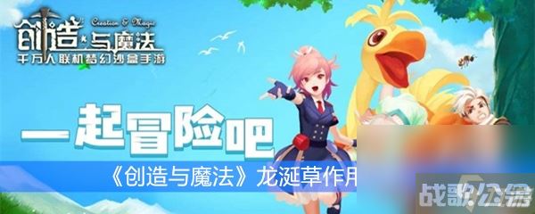 《创造与魔法》龙涎草效果解析,创造与魔法资讯
