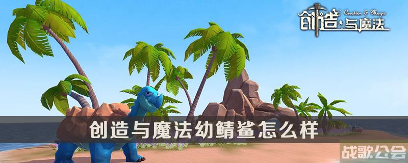 创造与魔法幼紫鲨饲料(创造与魔法幼紫鲨饲料保底)