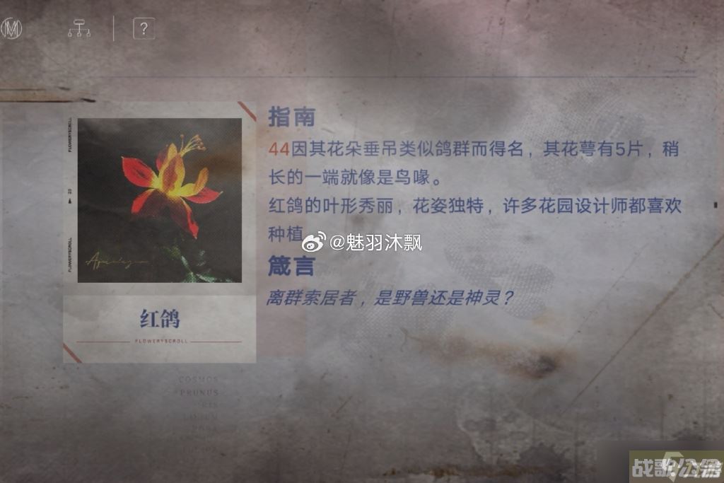 无期迷途花笺解密,无期迷途资讯