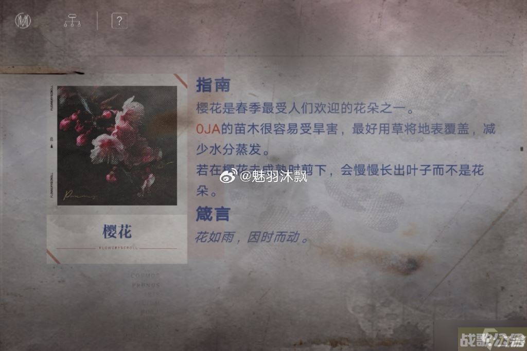 无期迷途花笺解密,无期迷途资讯