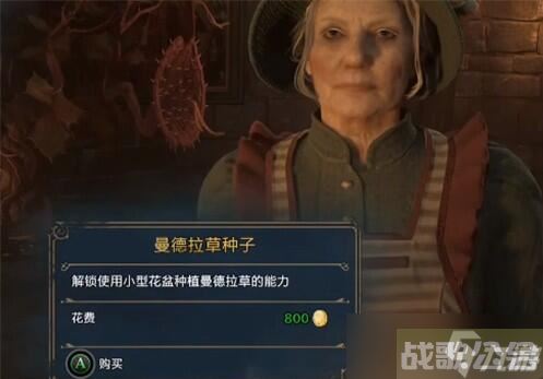 霍格沃茨之遗曼德拉草获取方法,霍格沃茨之遗资讯