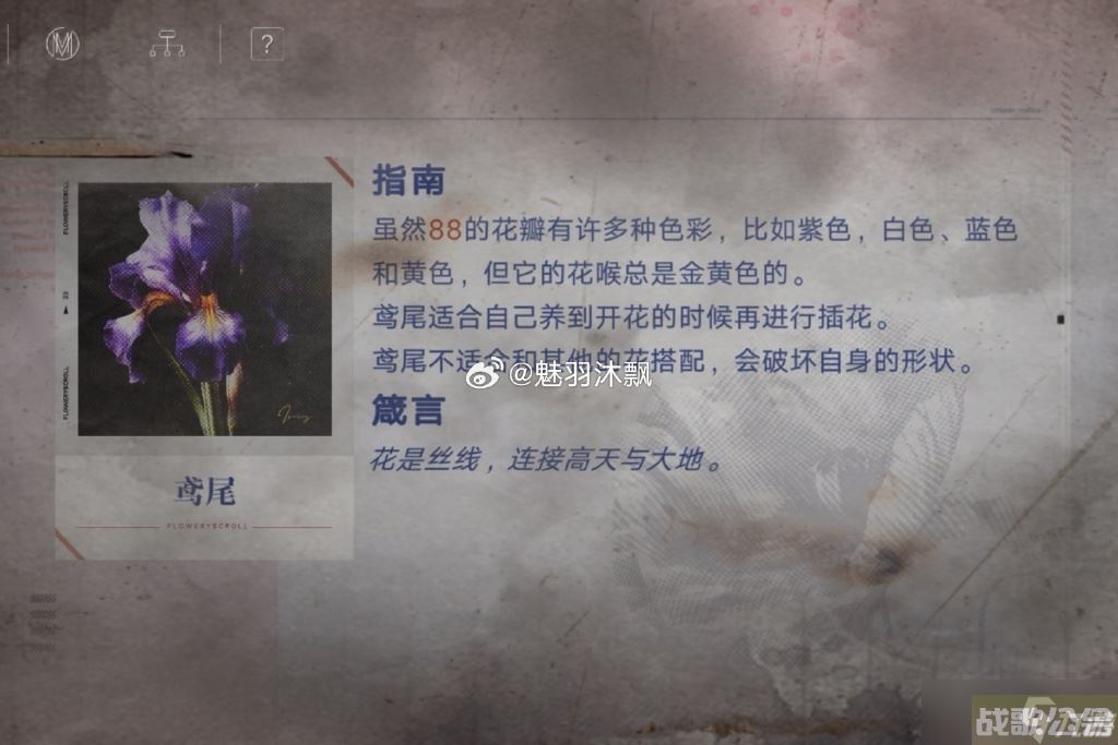 无期迷途花笺解密,无期迷途资讯