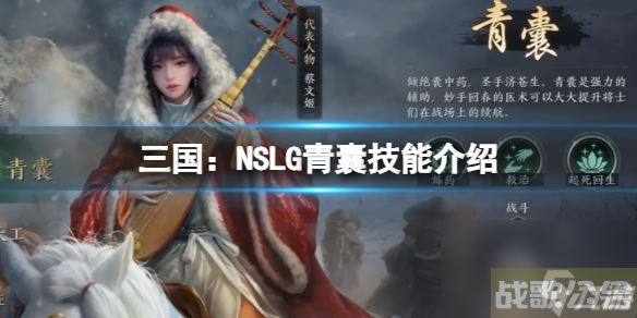 《三国：NSLG》青囊技能详解 六大职业技能详解