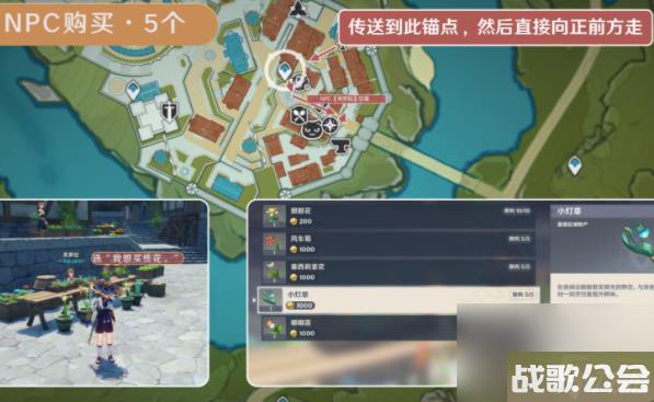 原神小灯草采集在哪里原神小灯草在哪里买
