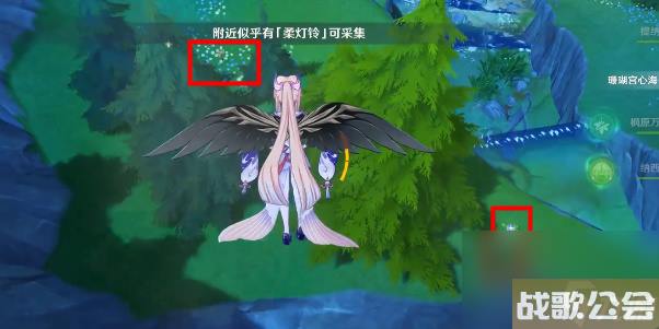 原神柔灯铃在哪获取-原神柔灯铃采集路线介绍