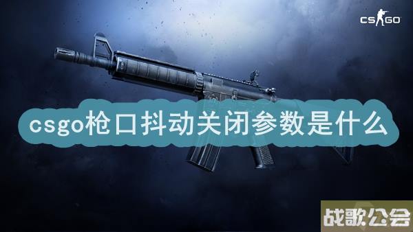 csgo枪口抖动关闭参数是什么