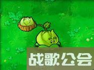 植物大战僵尸49个植物介绍是什么