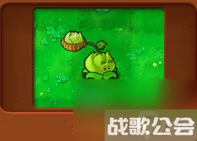 植物大战僵尸全部角色都有什么 