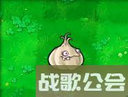 植物大战僵尸49个植物介绍是什么