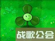 植物大战僵尸49个植物介绍是什么