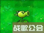 植物大战僵尸49个植物介绍是什么