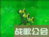 植物大战僵尸49个植物介绍是什么
