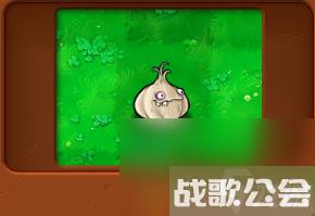 植物大战僵尸全部角色都有什么 