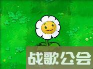 植物大战僵尸的所有植物的名称是什么