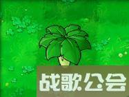 植物大战僵尸49个植物介绍是什么？[植物大战僵尸]