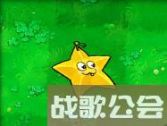 植物大战僵尸的所有植物的名称是什么