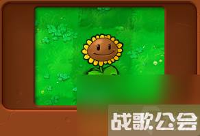 植物大战僵尸全部角色都有什么 