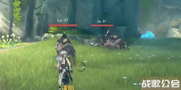鸣潮啸野归城任务攻略 任务流程一览