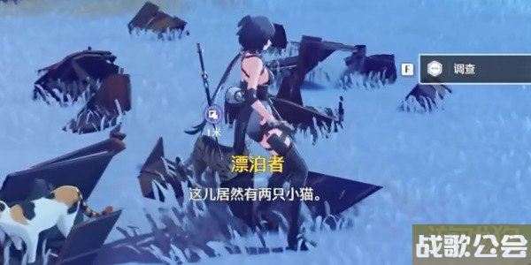 鸣潮帮小棠找猫任务攻略 任务完成方式分享
