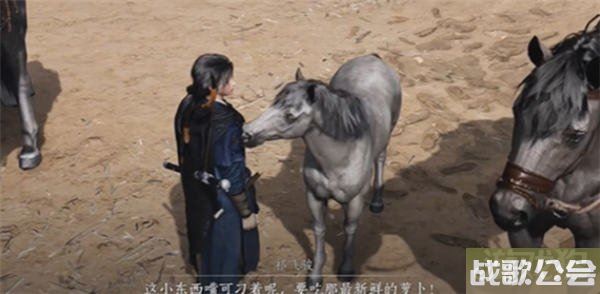燕云十六声祁氏家驯任务流程攻略介绍