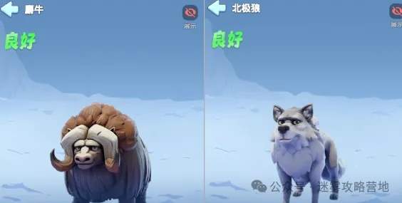 无尽冬日五代宠物培养攻略大全