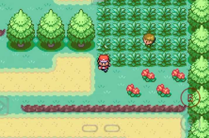 口袋妖怪火红在哪练级最快