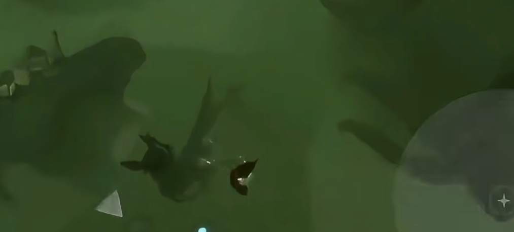 光遇伊甸之眼的龙怎么躲